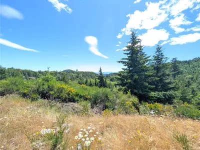 View 4