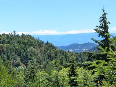 View 25