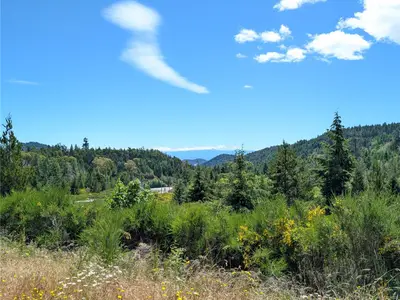 View 21
