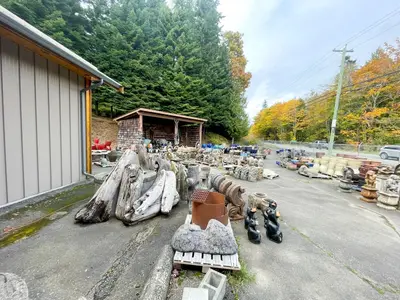 View 31
