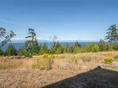 View 38