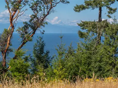 View 39