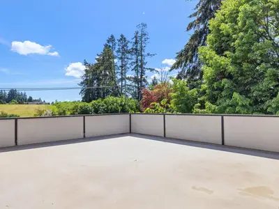 View 43