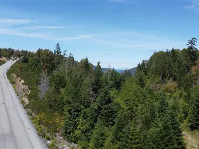 View 17