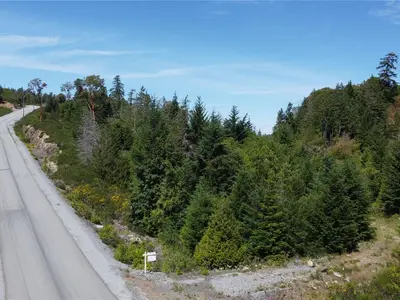 View 16