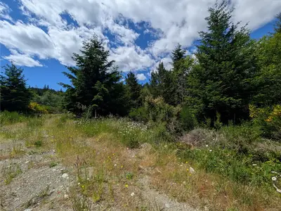View 32