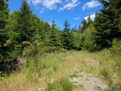 View 28
