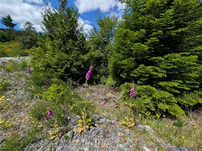 View 34