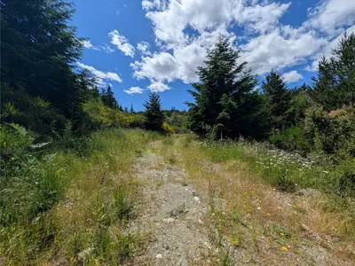 View 33