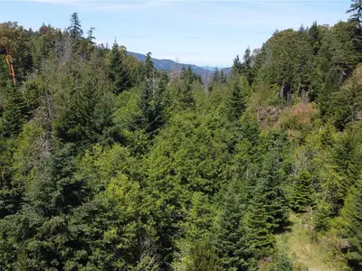 View 18