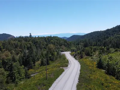 View 15