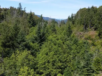 View 19