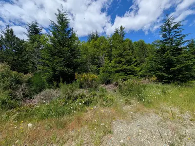 View 31