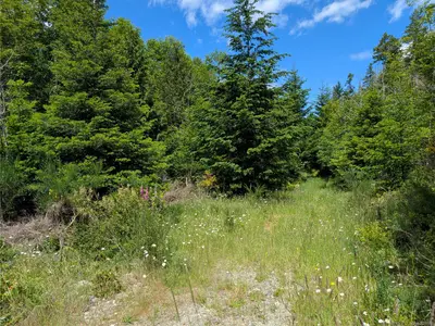 View 29