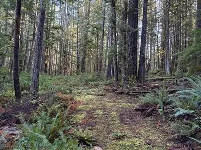 View 32