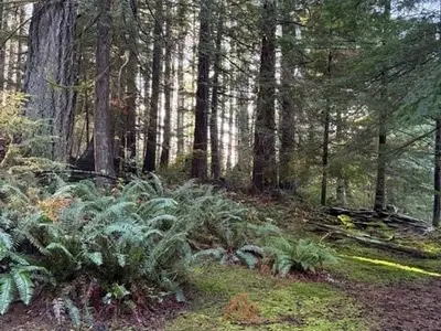 View 31