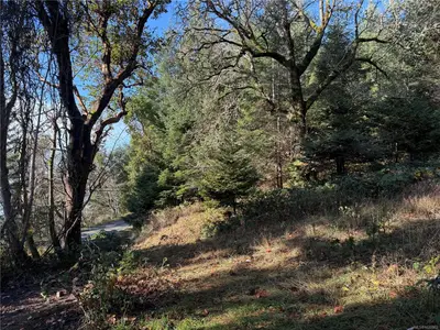 View 6
