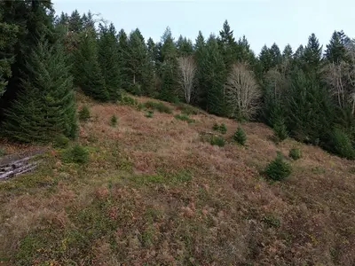 View 4