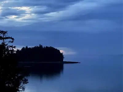 View 51