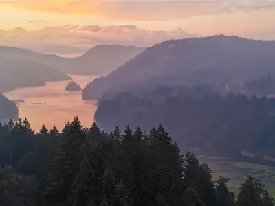View 40