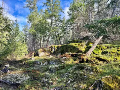 View 16