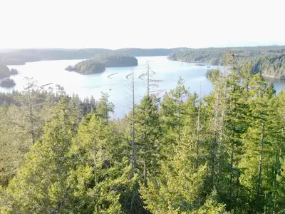 View 38