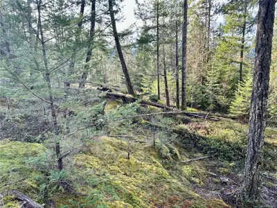 View 14