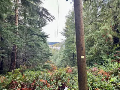 View 18