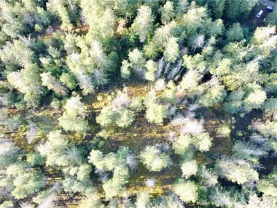 View 37