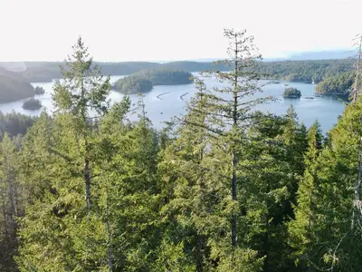View 40