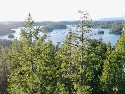 View 39