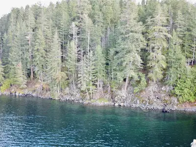 View 25
