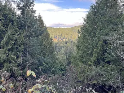 View 23