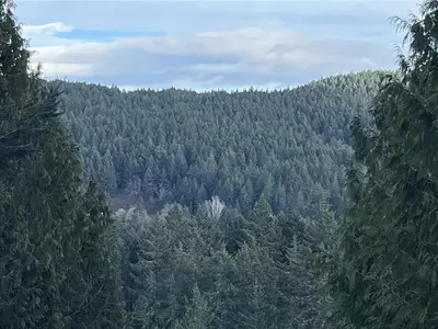 View 1