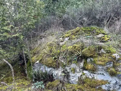 View 24
