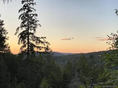 View 31