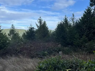 View 25