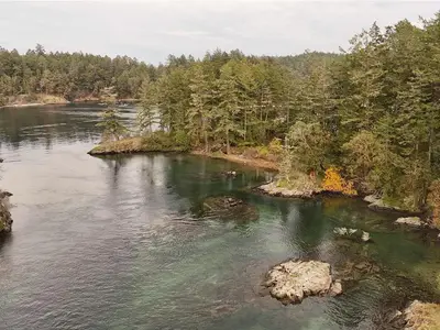 View 14
