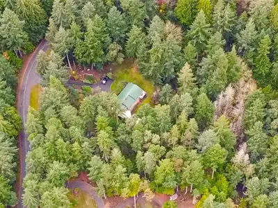 View 50