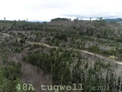 View 62