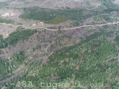 View 23