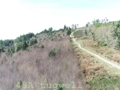 View 95