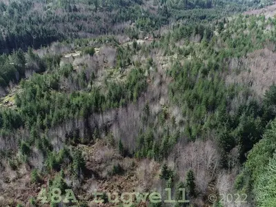 View 76