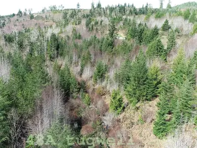 View 91