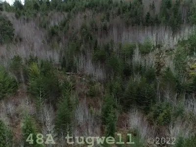 View 56