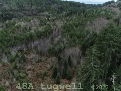 View 42