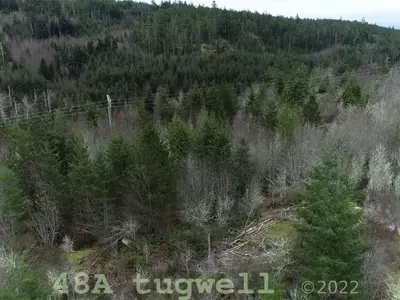 View 46