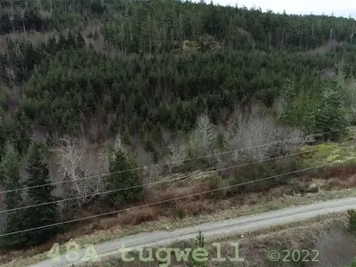 View 47
