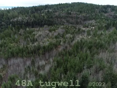 View 43
