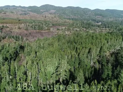 View 12